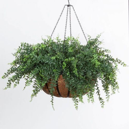 Pot de jardin en fer forgé - BUCKLER FERN - PLANTERS UNLIMITED - en fibre de verre / suspendu / rond
