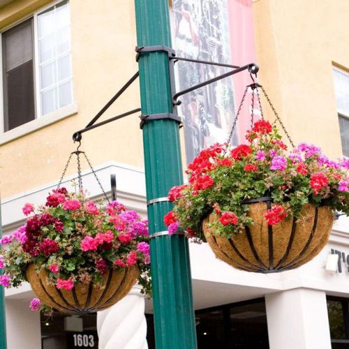 Support pour jardinière suspendue pour espace public - TWO-WAY SCROLL ARM - PLANTERS UNLIMITED