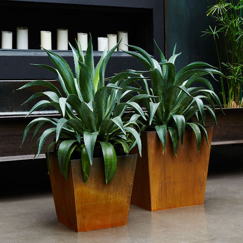 Jardinière en aluminium - TAPERED 16/20 - PLANTERWORX - en acier corten / carrée / contemporaine