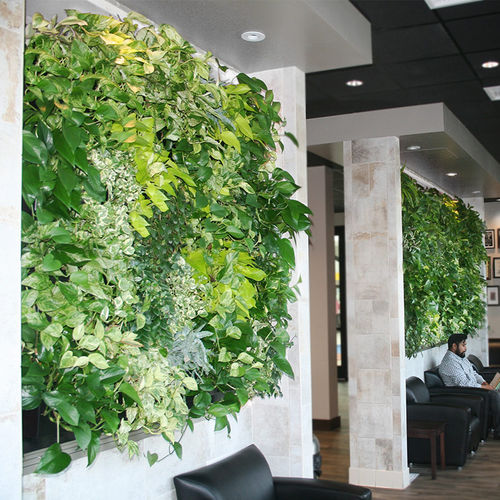 Mur végétal en végétaux vivants - LiveWall - naturel / d'intérieur
