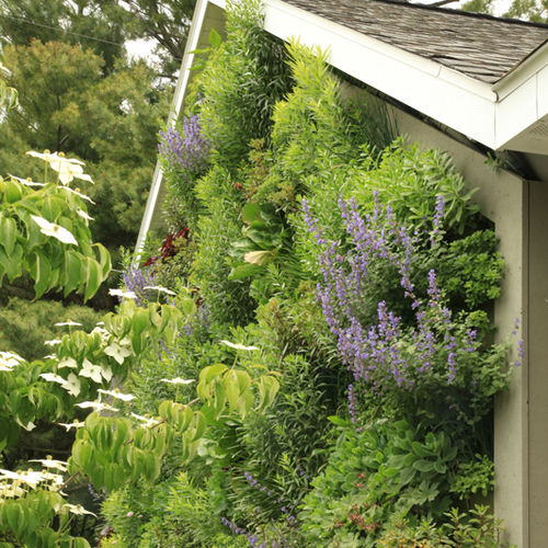 Jardin vertical en végétaux vivants - LIVESCREEN®  - LiveWall - d'intérieur / d'extérieur