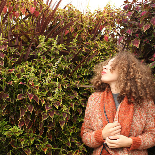Mur végétal en végétaux vivants - COLEUS  - LiveWall - naturel / d'extérieur