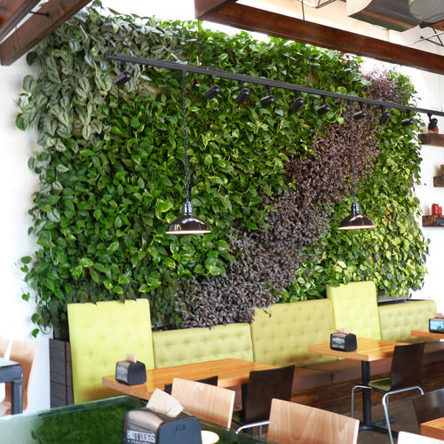 Mur végétal en végétaux vivants - BROME BURGER - LiveWall - naturel / d'intérieur