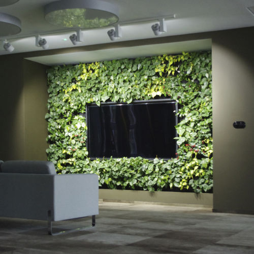Mur végétal stabilisé - wertykaln - naturel / feuillages denses / d'intérieur