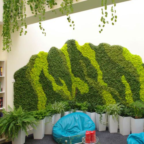 Tableau végétal stabilisé - CLADONIA RANGIFERINA - wertykaln - en mousse boule / d'intérieur
