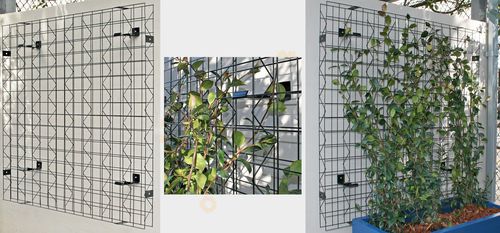 Mur végétal feuillages denses - VERTIGREEN - Tournesol SITEWORKS - d'intérieur / d'extérieur / modulable