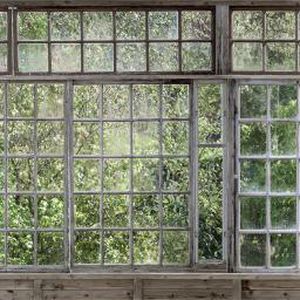 Papier peint contemporain - GREENHOUSE - Mr Perswall - à motif nature / multicolore / imprimé