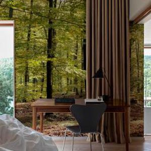 Papier peint design original - AUTUM FOREST - Mr Perswall - à motif nature / aspect papier peint / vert