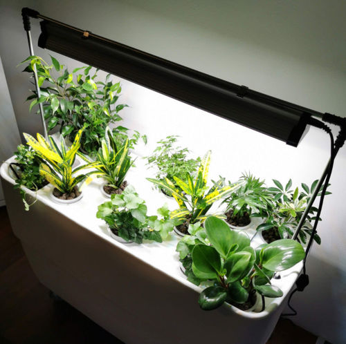 Luminaire de culture - GROW LIGHT - Supragarden - suspendu / apparent / à LED