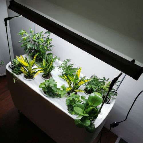 Luminaire de culture - LONG GROW LIGHT - Supragarden - suspendu / apparent / à LED