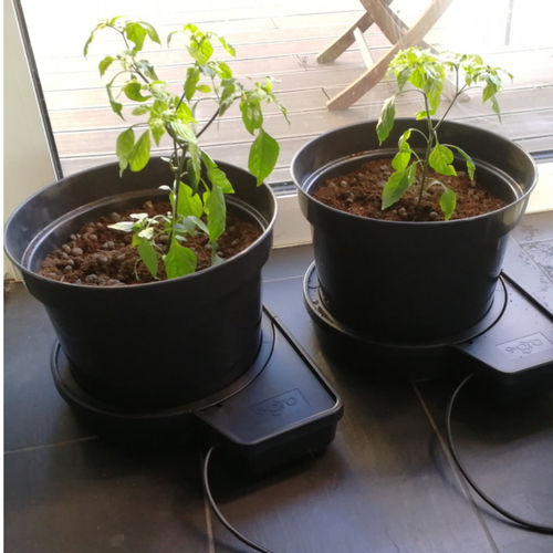 Pot de jardin en plastique - GOGRO 15L - Supragarden - en îlot / rond / avec arrosage automatique
