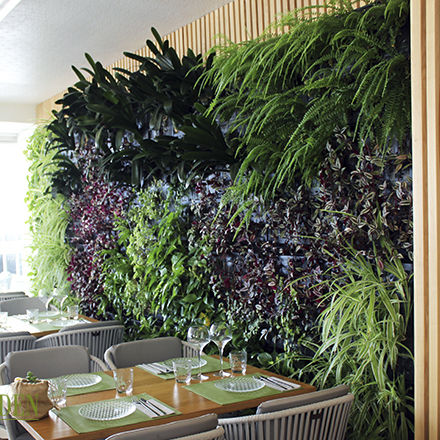 Mur végétal stabilisé - AG GUIMUR-ABBACO - AIR GARDEN - naturel / feuillages denses / d'intérieur
