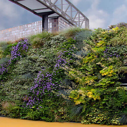 Mur végétal stabilisé - AG GUIMUR-FACTORY VITORIA - AIR GARDEN - naturel / feuillages denses / d'extérieur