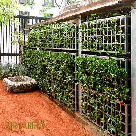 Treillage pour mur végétal - AG3 POSTMUR-POSTDIV - AIR GARDEN - en métal peint