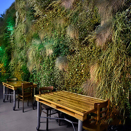 Mur végétal en végétaux vivants - AG GUIMUR-CHILL OUT - AIR GARDEN - naturel / feuillages denses / d'extérieur