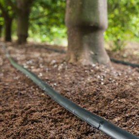 Tuyau flexible d'irrigation - D2000 DRIP LINE - Rivulis - en plastique / avec goutteur / plat