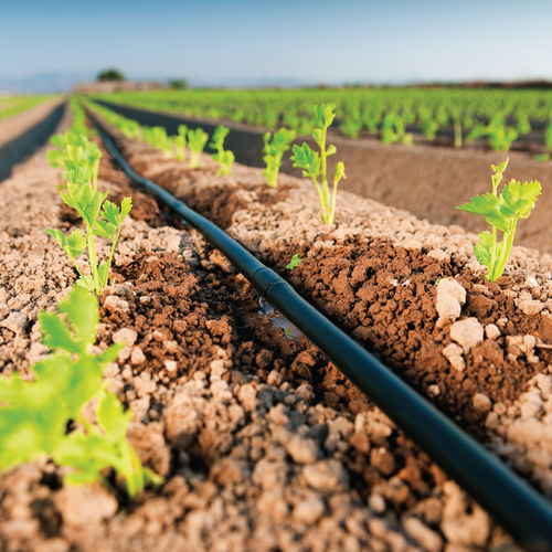 Tuyau flexible d'irrigation - HYDROGOL DRIP LINE - Rivulis - en plastique / avec goutteur / cylindrique