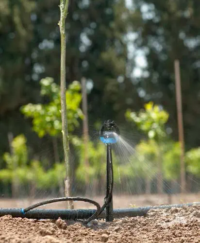 Citrate De Magnésium 200 Mg - Complément Alimentaire Végétarien & Sans Gluten, 30/60/120 Gélules