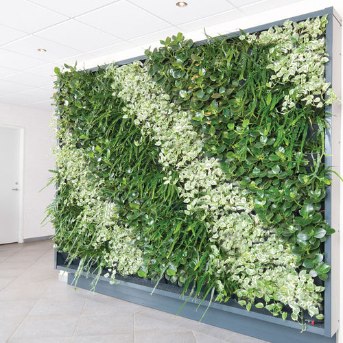 Mur végétal stabilisé - Natural Greenwalls - en végétaux vivants / naturel / d'intérieur