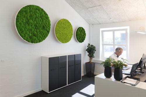 Tableau végétal stabilisé - Natural Greenwalls - en mousse boule / d'intérieur / en panneau modulaire