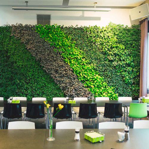 Mur végétal stabilisé - LIF - Natural Greenwalls - en végétaux vivants / naturel / d'intérieur