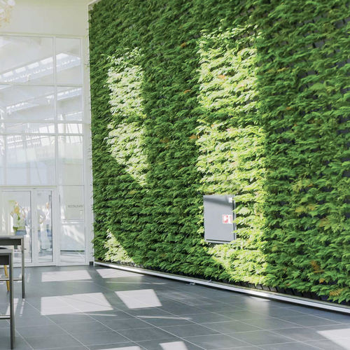 Mur végétal stabilisé - Natural Greenwalls - en végétaux vivants / en panneau modulaire / naturel