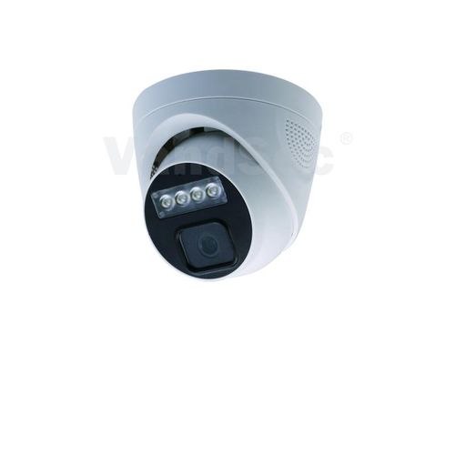 Caméra de sécurité IP - VN-ITB IP - Vandsec Electronics Limited - dôme / de plafond / couleur