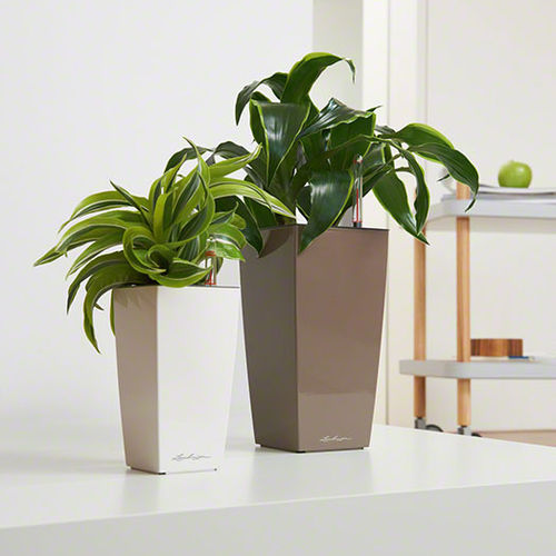 Jardinière en plastique - MAXI-CUBI - Gover Horticulture LLC - trapézoïdale / contemporaine / professionnelle