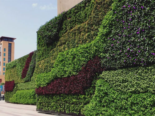 Mur végétal en végétaux vivants - Gover Horticulture LLC - sur mesure / d'intérieur / d'extérieur