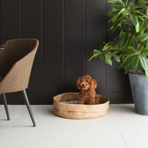 Panier pour chien en fibre de cellulose - TOMMY - Limac Design® - avec coussin amovible / lavable en machine