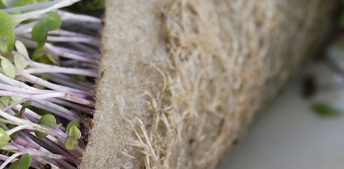 Substrat de culture non spécifié - BIOSTRATE® - Grow-Tech LLC - non spécifié / pour l'agriculture biologique
