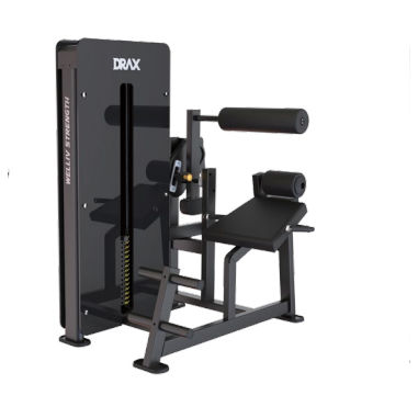 Appareil de musculation extension du dos - Drax Inc.