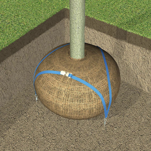 Ancrage de motte par tuteurage - ARBORGUY - GreenBlue Urban Ltd