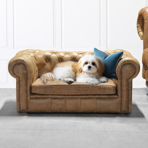 Canapé pour chien en cuir - Harleq - blanc / bleu / doré