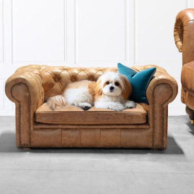 Canapé pour chien en bois - ANIMALI - Harleq - beige / mobile / fait main