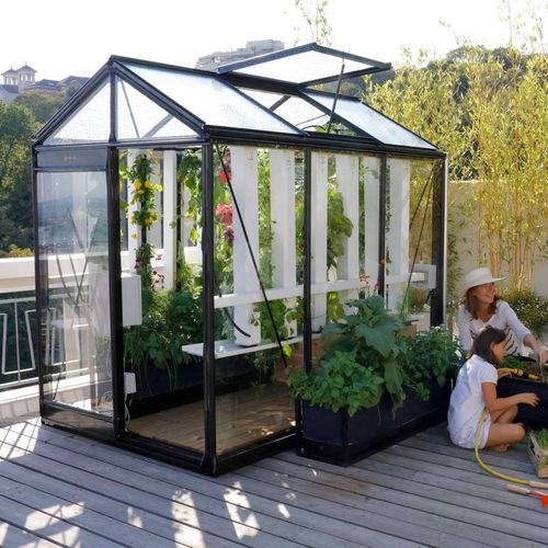 Serre de jardinage - PICCOLO P03 - ACD - monochapelle / structure en aluminium / en verre