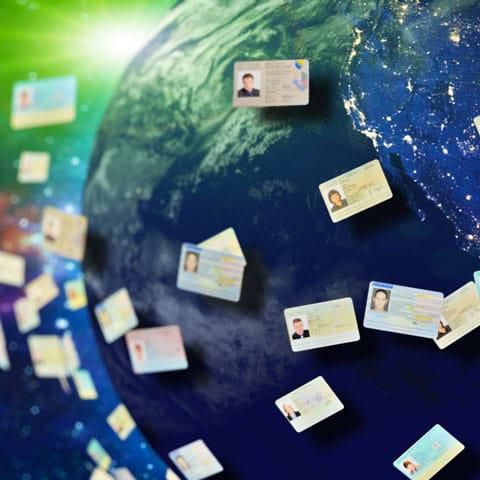 Logiciel d'analyse - Adaptive Recognition - pour système RFID / 2D