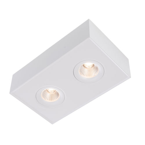 Downlight apparent - SLC DL04 Surface X2 TED - The Light Group - à LED / rectangulaire / IP40
