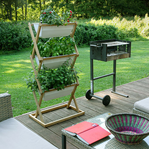 Jardin vertical en végétaux vivants - VERTICAL GARDEN - urbanature - de terrasse / de jardin / pour balcon