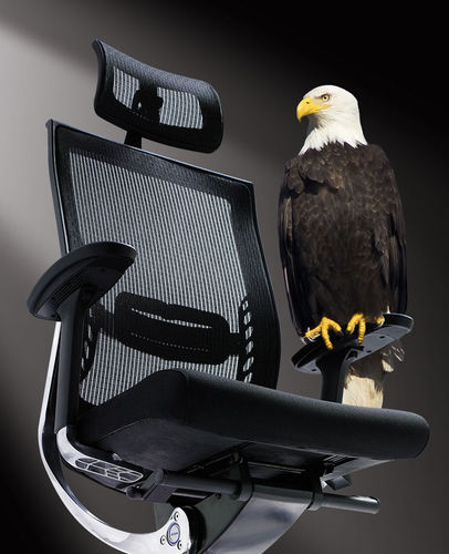 Fauteuil de bureau contemporain - ABANT - Flekssit Office Furniture - en aluminium / ergonomique / réglable