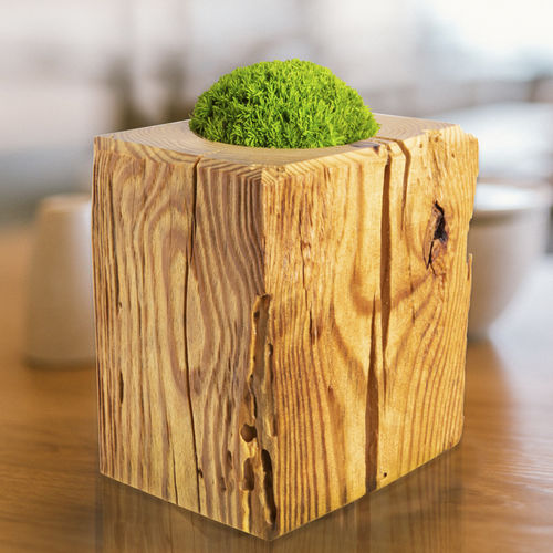 Vase contemporain - TOUCH ME Moss HEDGEHOG - MOOS MOOS MANUFAKTUR - bois / fait main