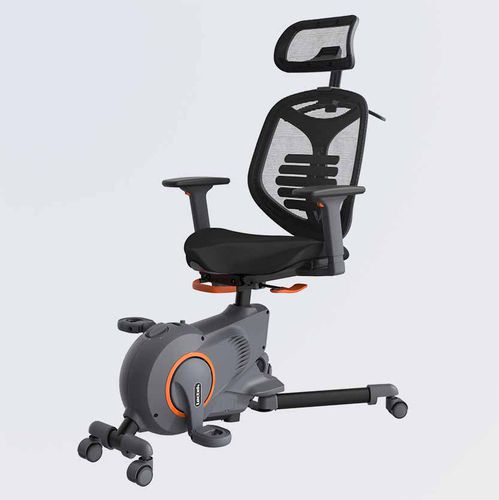 Vélo d'exercice d'intérieur - F216DBU - Loctek Ergonomic Technology Corp. - professionnel / à usage domestique