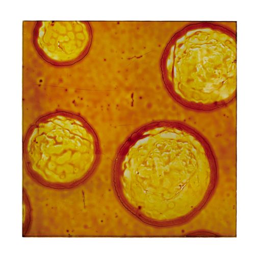 Panneau décoratif. acrylique - RIPPLE BROWN - Duco - pour agencement intérieur / mural / pour porte