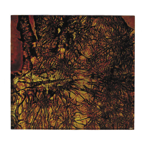 Panneau décoratif. acrylique - SPLIT LARGE - Duco - pour agencement intérieur / mural / pour porte