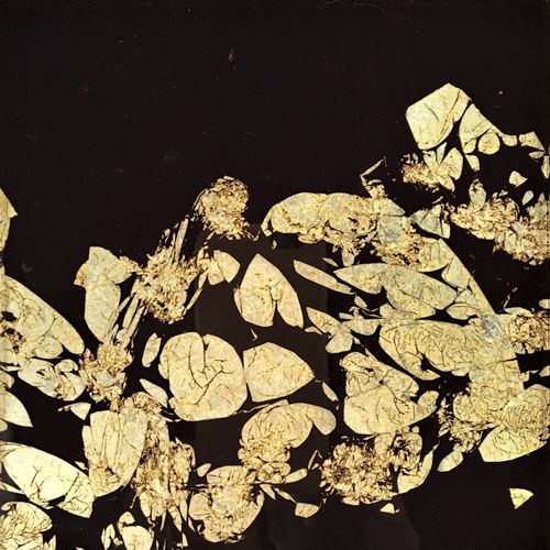 Panneau décoratif. acrylique - FLOATING PETALS - Duco - pour porte / mural / pour agencement intérieur