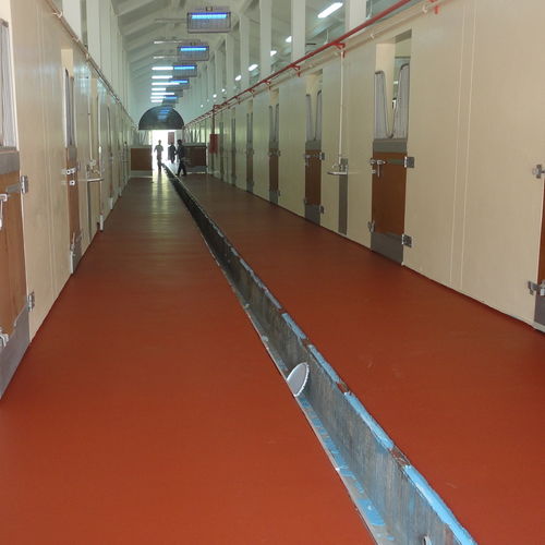 Enduit de lissage - POLYSPORT 1053 - KDF - Sports Flooring Production - d'imperméabilisation / de finition / pour salle de sport