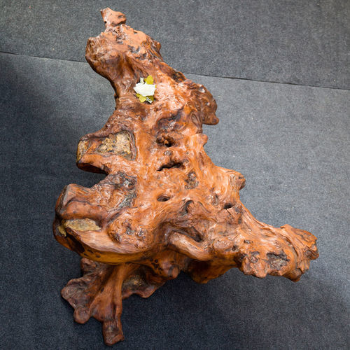 Sculpture en bois - Icewood - à poser / floral / contemporaine