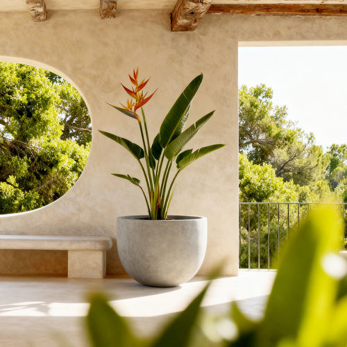 Carré potager en PRV - POTHOS - Bonasila - en plastique renforcé de fibres / en fibre de verre / d'extérieur