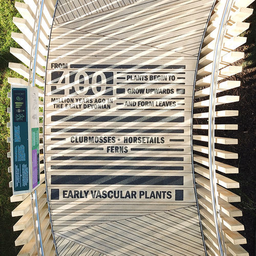 Lame de terrasse en bois - GRIPSURE GRAPHICS - Gripsure SAS - aspect bois / antidérapante / professionnelle