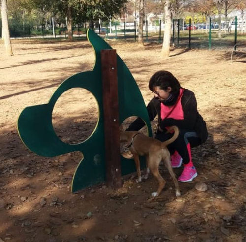 Parcour d'obstacles agility - DUAGCP-01 - DEPORTES URBANOS - pour parc canin / roue / sur mesure